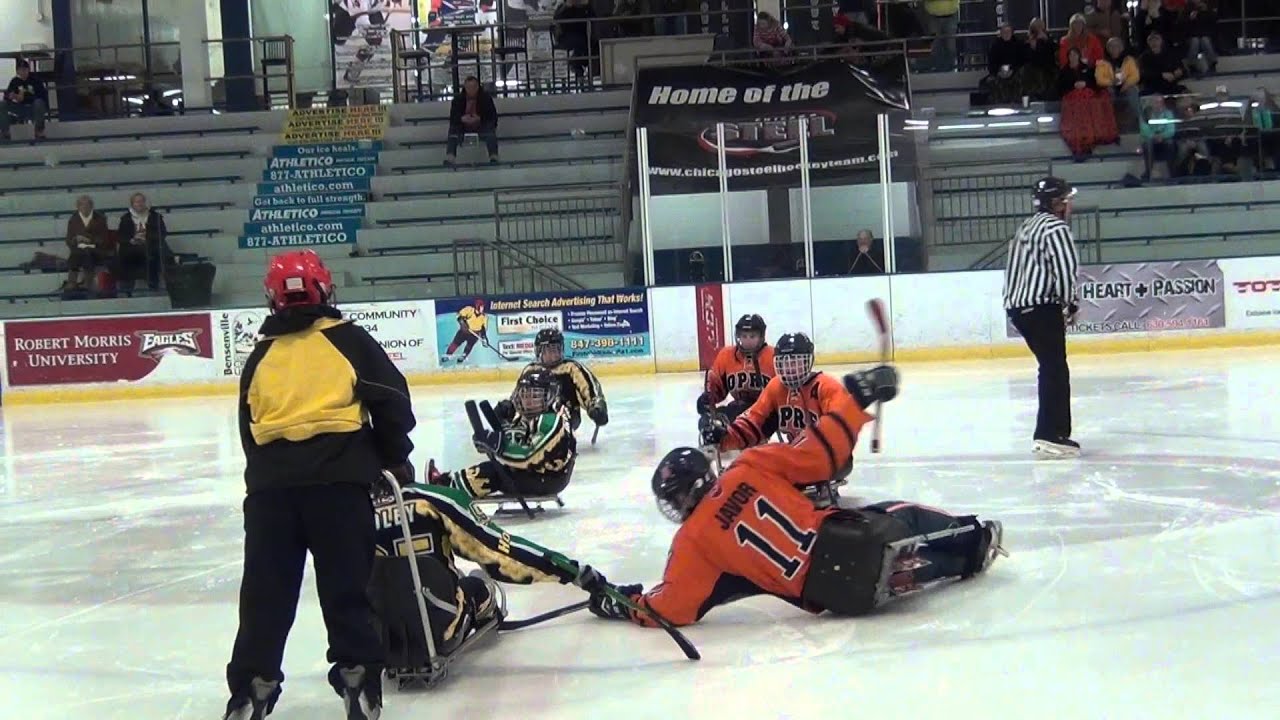 2014 Hornets Sled Hockey Benefit