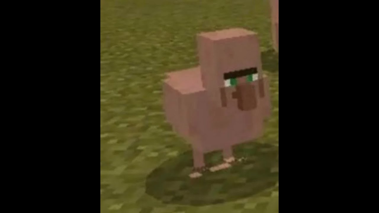 Minecraft world and chill