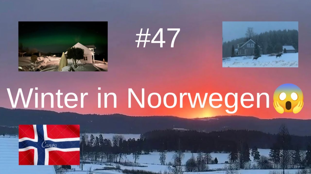 # 47 Noorderlicht en Elanden in Noorwegen 🇳🇴 | Winter, Zonsopgang & Dronebeelden.