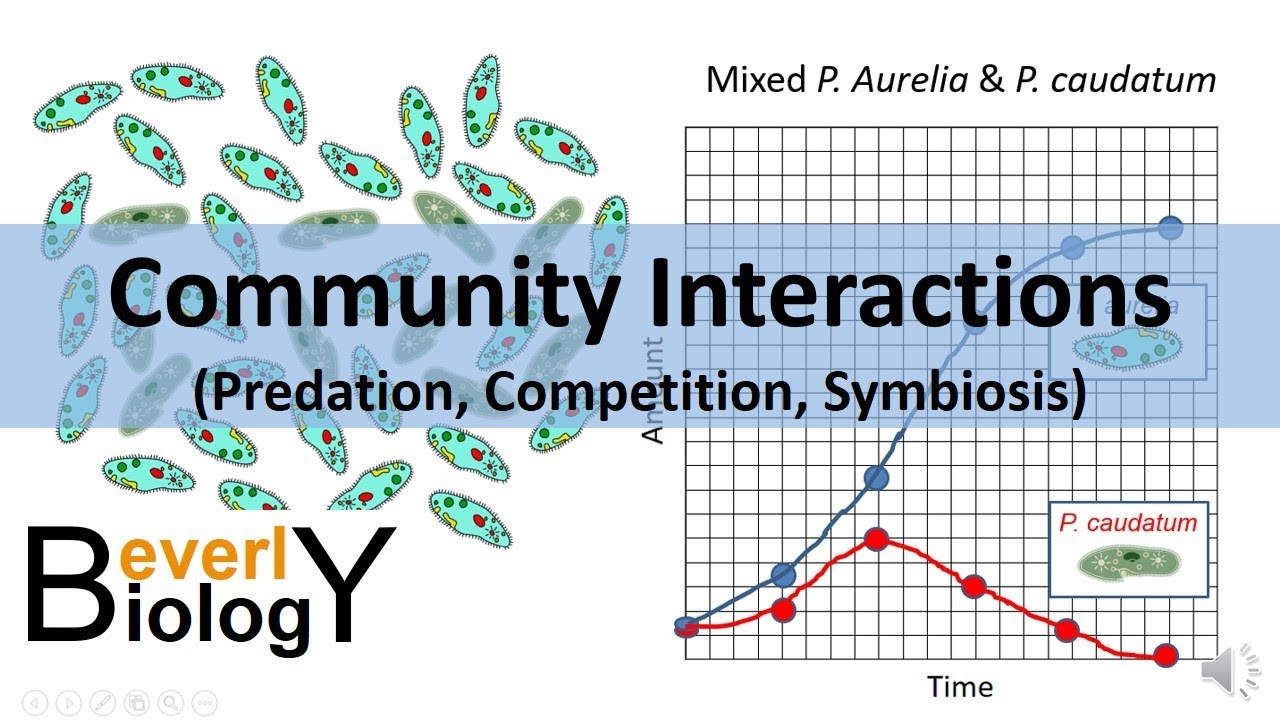 Community Interactions (Competition, Predation, Symbiosis)