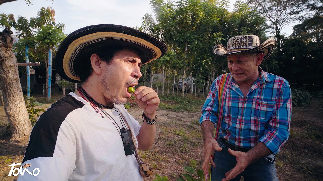 Comiendo Ají y Habichuela Crua en la Finca de Tío Pello, Cuentero Costumbrista Colombiano