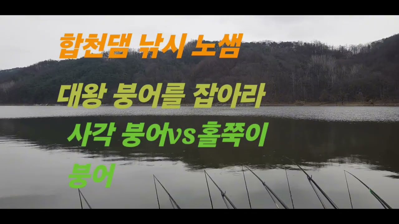 합천댐 낚시 노샘!대왕 붕어를잡아라!사각 붕어vs홀쭉이 붕어/#fishing #낚시 