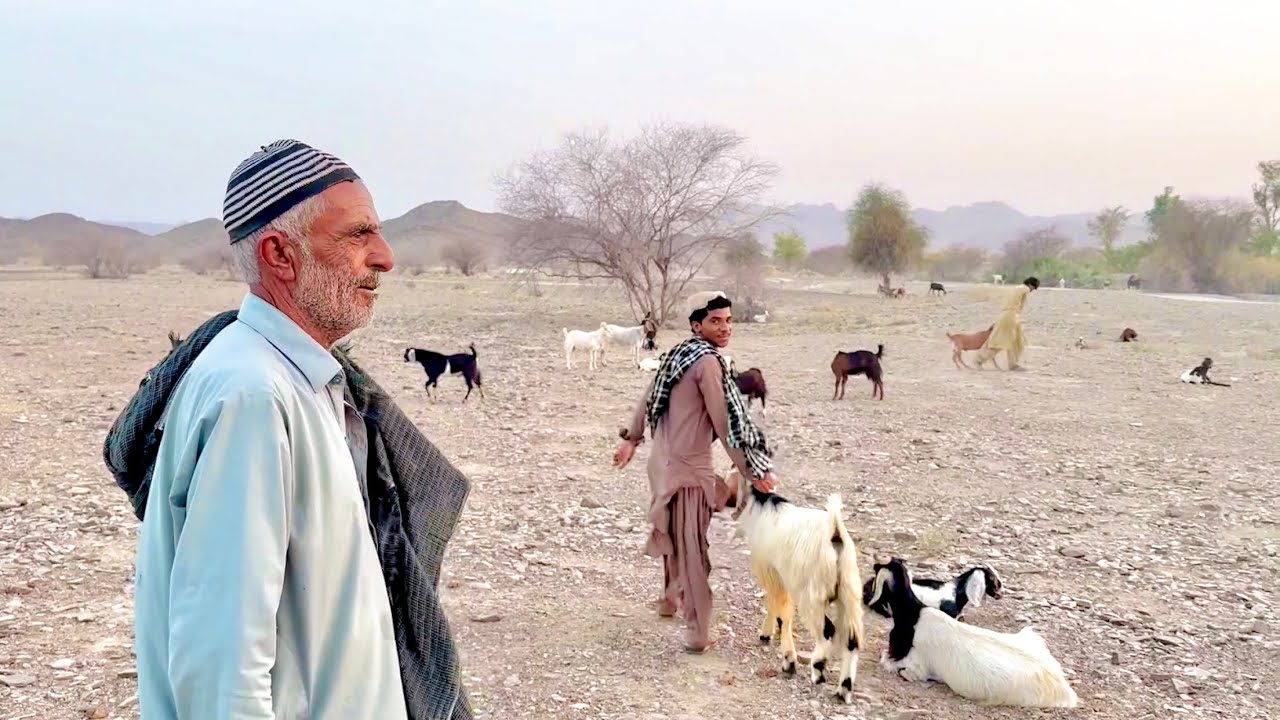 Mand-e-nadarag | MAIRAJMUREED vlogs | Balochistan