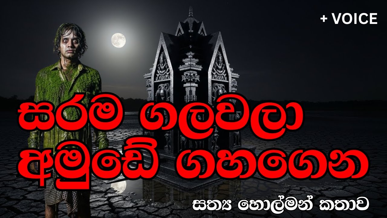 මහා වැව පතුලේ හුස්ම ගන්න දිය සෙවනැල්ල #ketikatha #horror #horrorstory #sinhalaketikatha
