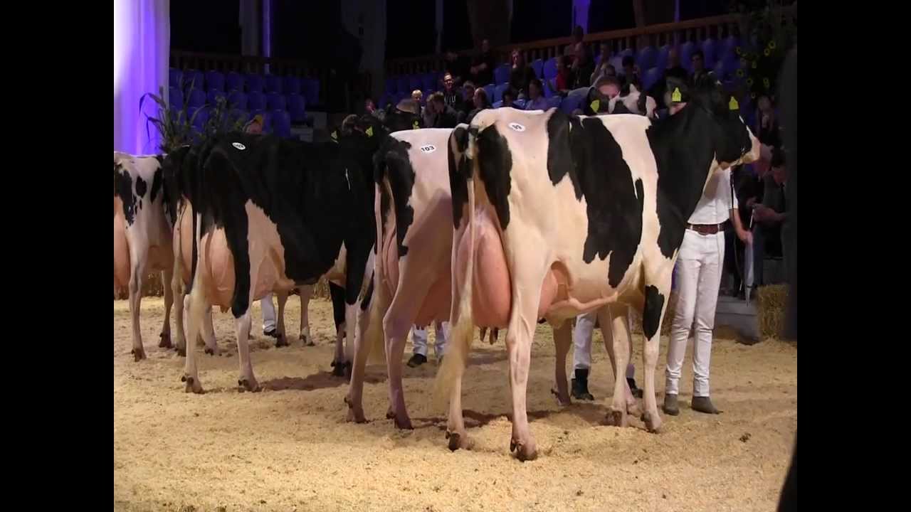 RUW Schau 2013 Teil 38