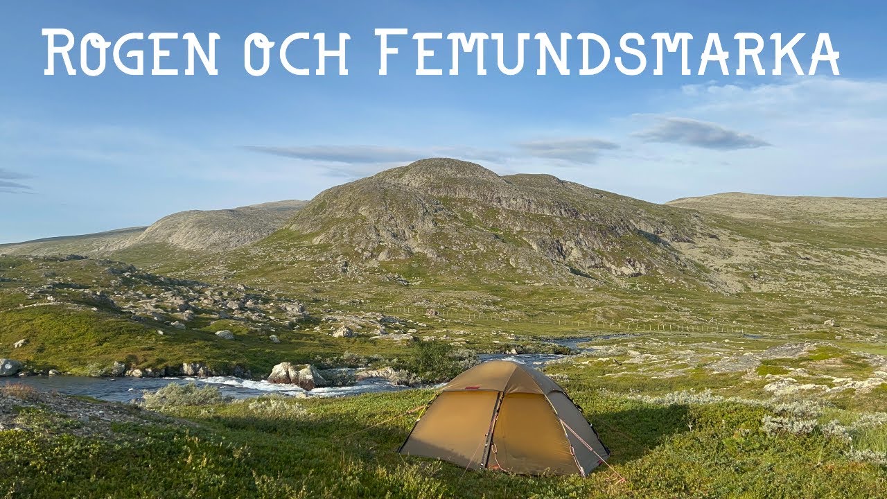 Sommartur i Rogen och Femundsmarka | Vandring, Myskoxar och Varierat Väder