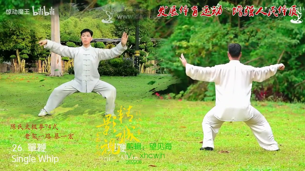 Chen-style Tai Chi Lao Jia Yi Lu 74 Form (Front & Back View) 陈氏太极老架一路74 (前背面)  - 2X speed