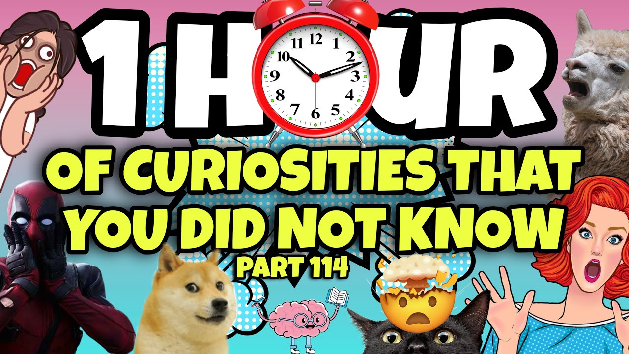 1 HOUR OF CURIOSITIES AND THINGS YOU DIDN’T KNOW 🧠⏰ #114 