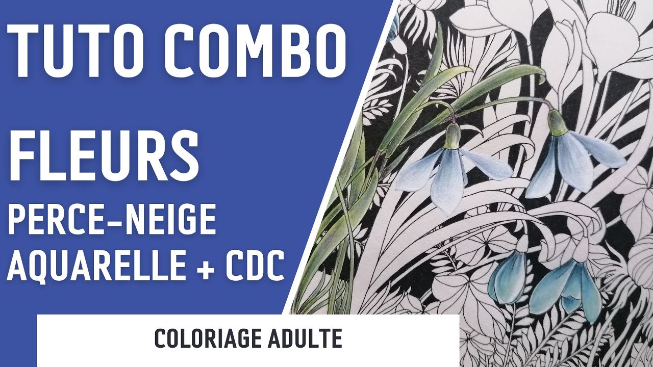 TUTO COMBO | Fleur blanche bleutée - perce neige