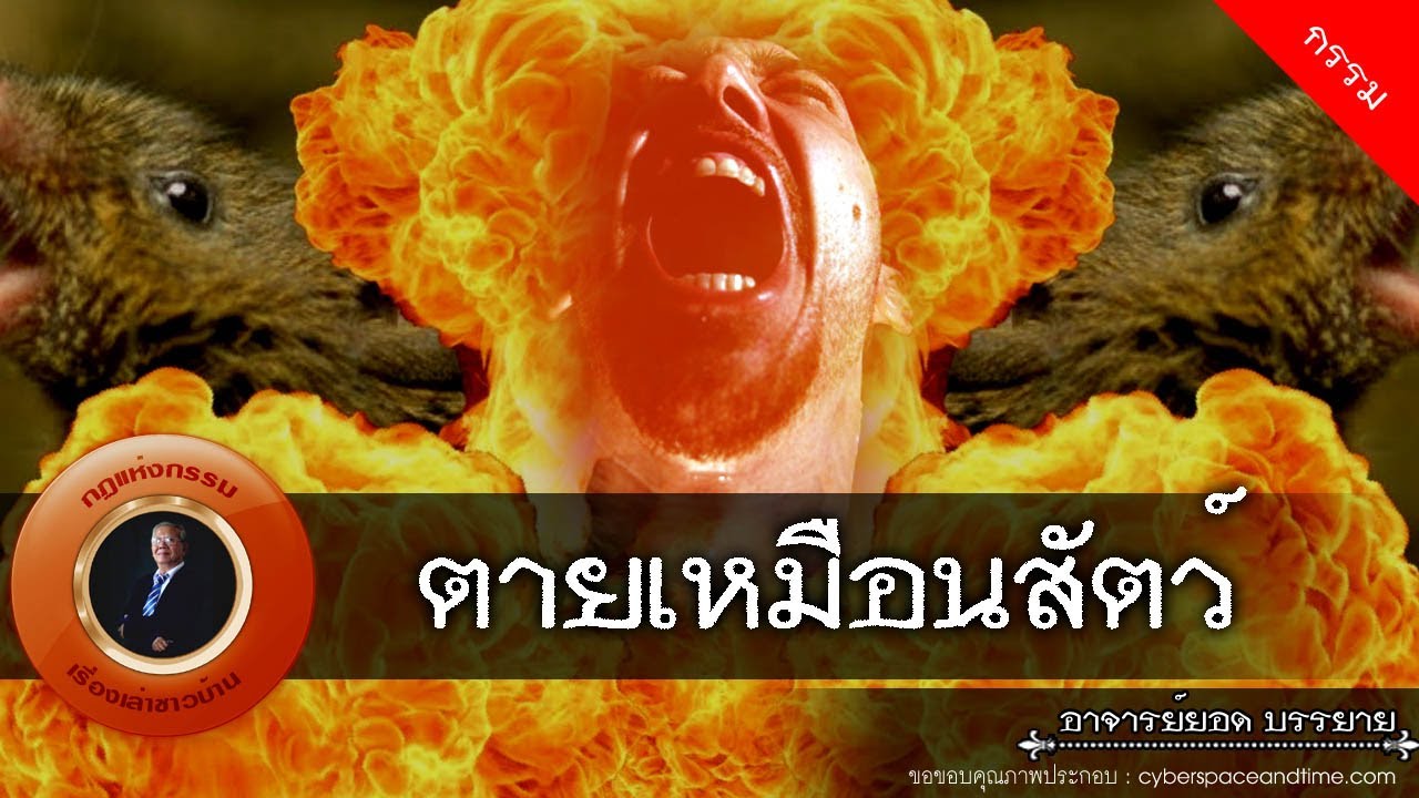 อาจารย์ยอด : กรรมกับสัตว์ ตายเหมือนสัตว์ [กรรม] new