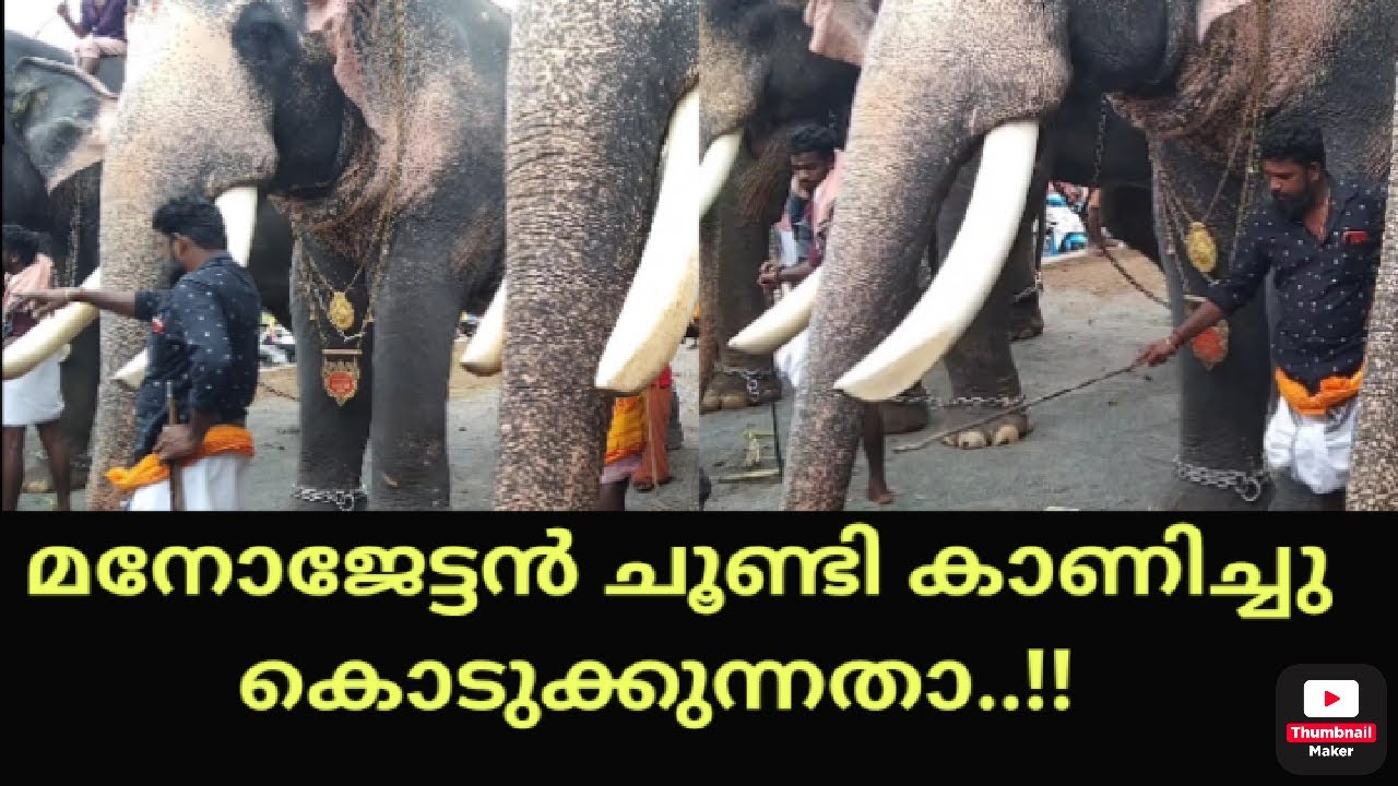 PUTHUPPALLY KESHAVAN l മനോജേട്ടൻ ചൂണ്ടി കാണിച്ചു കൊടുക്കുന്നതാ...!!