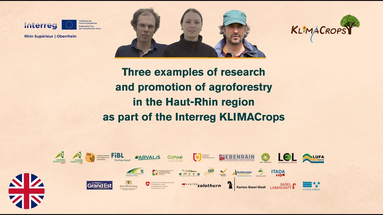[EN] Agroforestry Systems in the Upper Rhine Region – 3 Examples