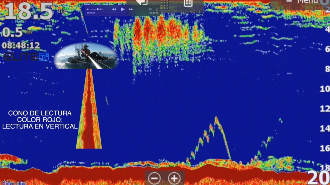 INTERPRETAR SONDA PESCA