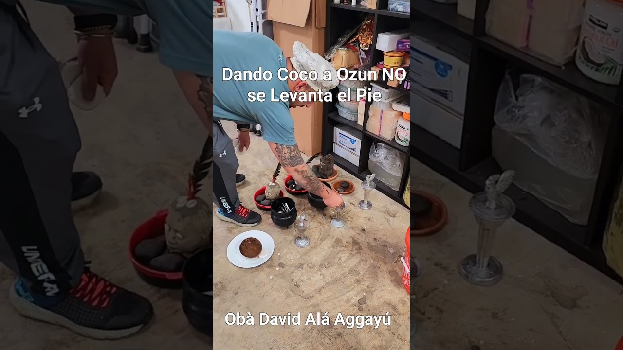En el Coco a Ozun, NO se Levanta el Pie. Ni el Ob&agrave; ni el Babalawo.