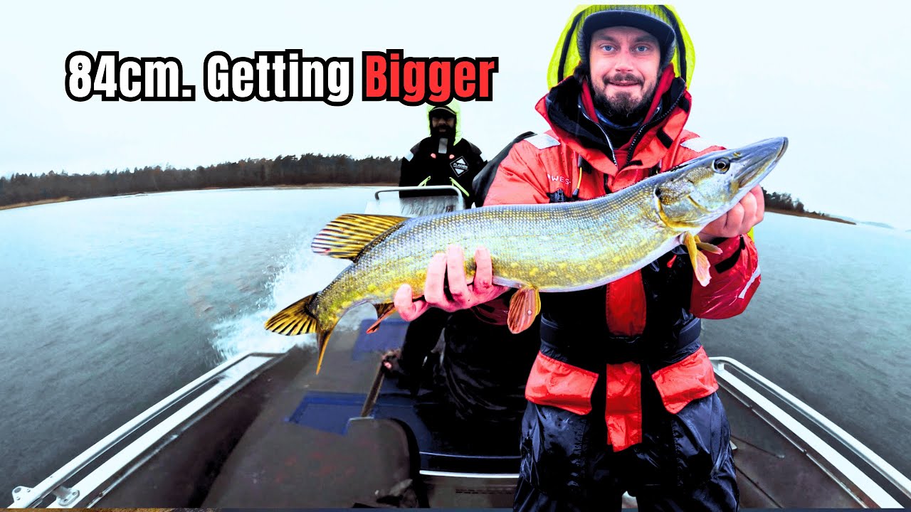 Finland Fishing Day 2 (2023) | 84cm Pike Lands in the Boat 🇫🇮