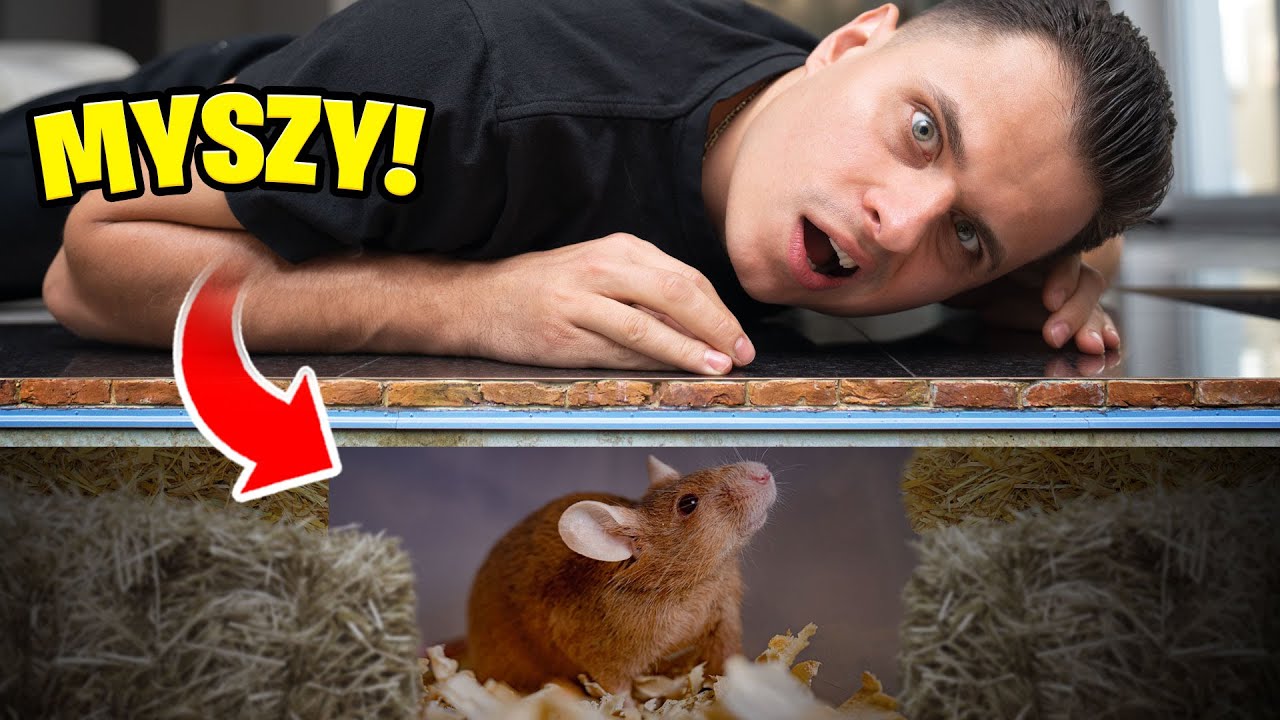 MAMY MYSZY W DOMU EKIPY! ( ZŁAPAŁEM JĄ! )