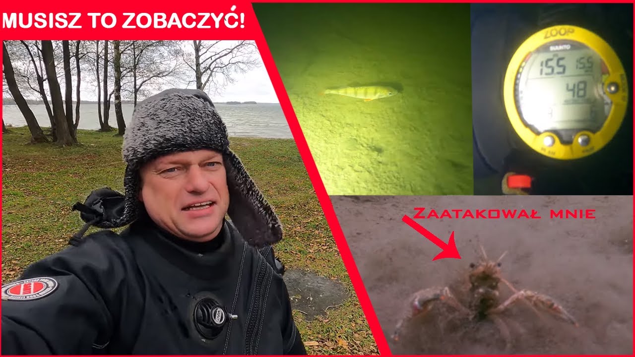 [CHALLENGE 4x100] 
