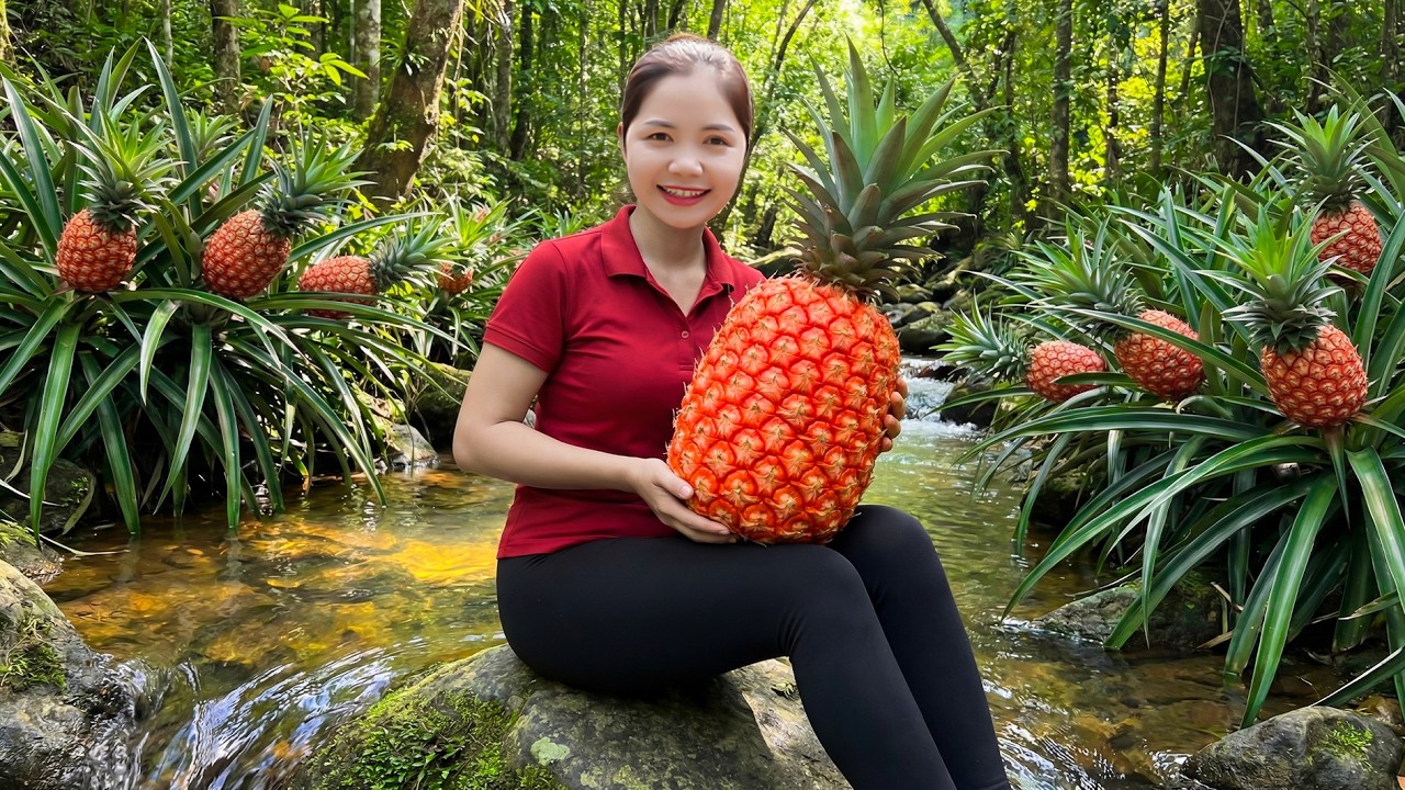 Harvesting 1000+ Wild Pineapple Go to Market Sell - Prepare Dishes From Pineapple | Han Harvesting