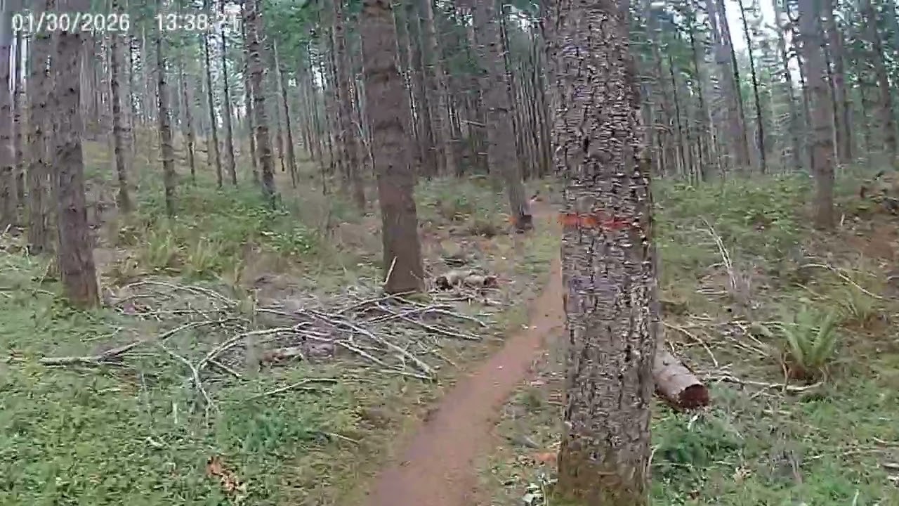 Chill ride