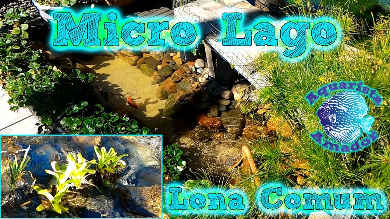 Troca de lona e ampliação do Micro-Lago - Joinville SC