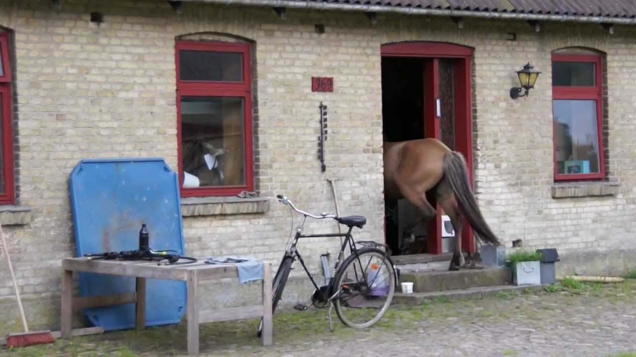 s&oslash;ren og oscar fra &AElig;rtebjerg p&aring; tur