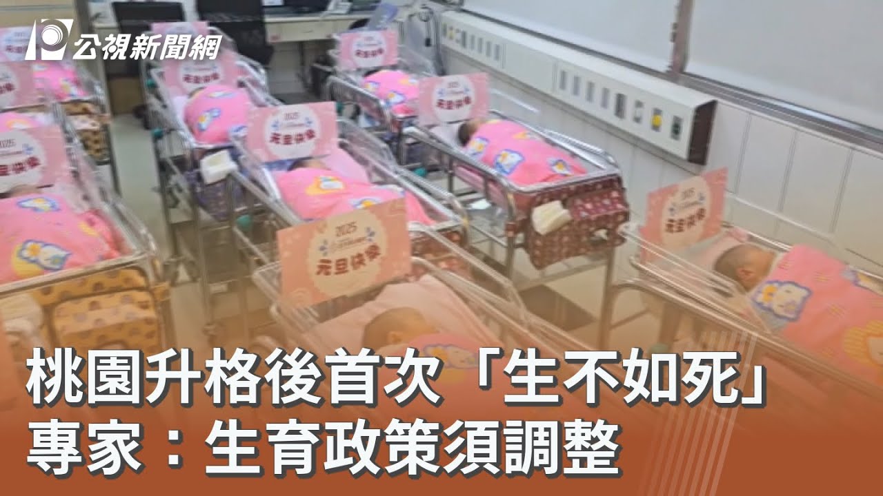 桃園升格後首次「生不如死」 專家：生育政策須調整｜20260126 公視午間新聞
