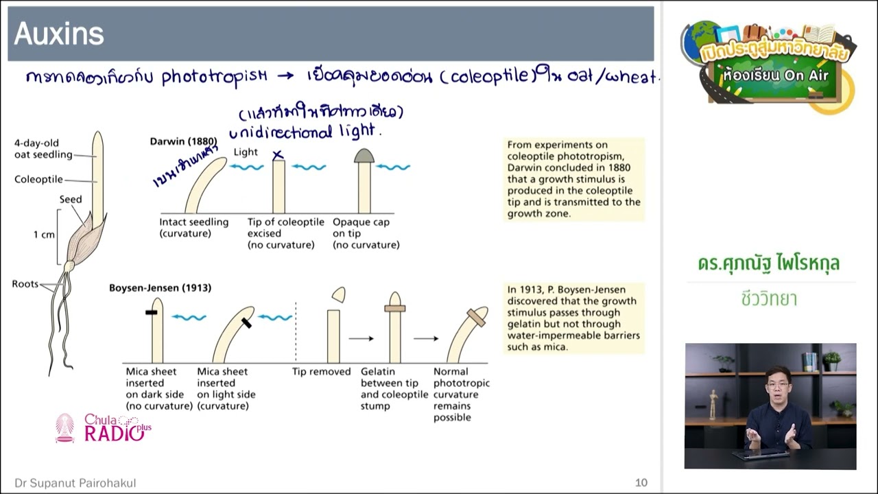 วิชาชีววิทยา ตอนที่ 23 การตอบสนองของพืช II