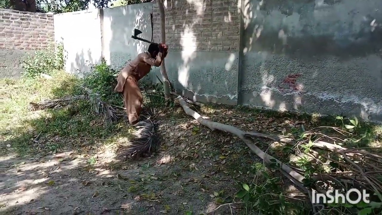 Cleaning garden my home /Tree cutting @Fozia Goraya official.