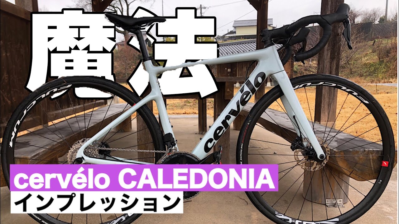 サーヴェロ　カレドニア　インプレッション　cervélo CALEDONIA impression