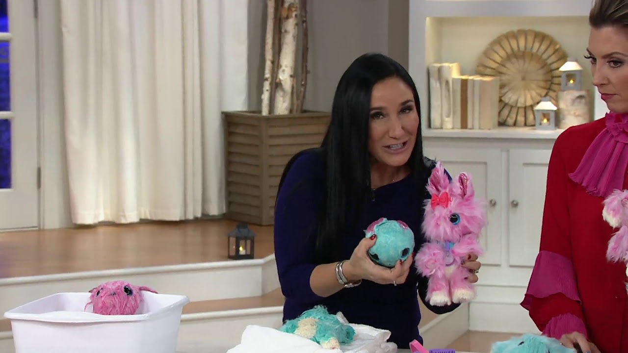 Little Live Pet Set of 2 Scruff-A-Luvs Scruffy to Fluffy Rescue on QVC