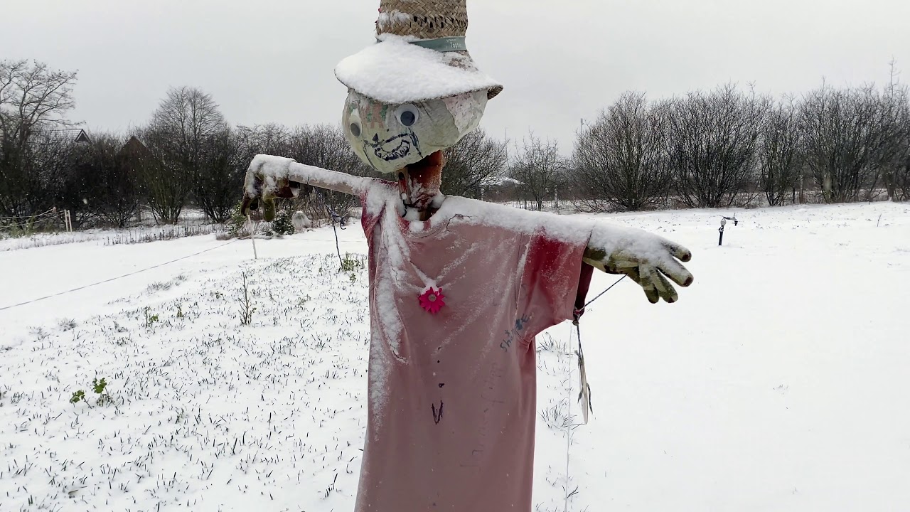 Winter im Schulgarten
