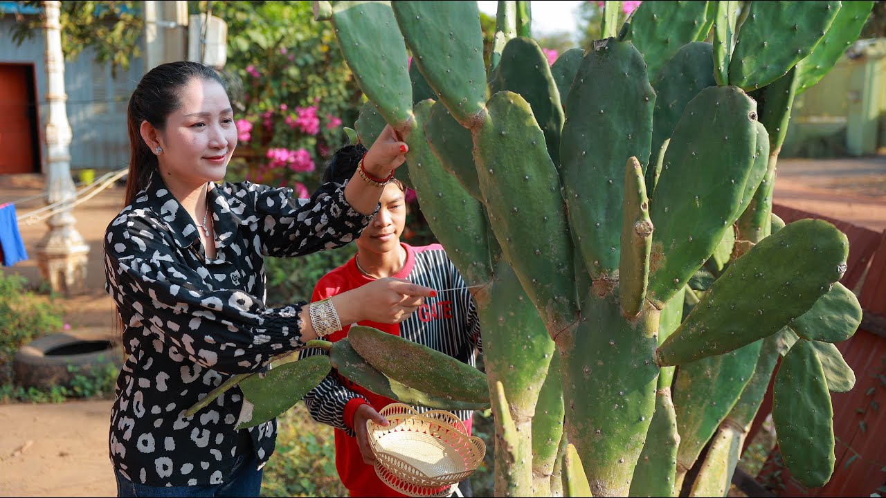 Yummy and Fresh Pedro Cactus, Curry Pedro Cactus cooking - Eat Pedro Cactus with Chili-Salt