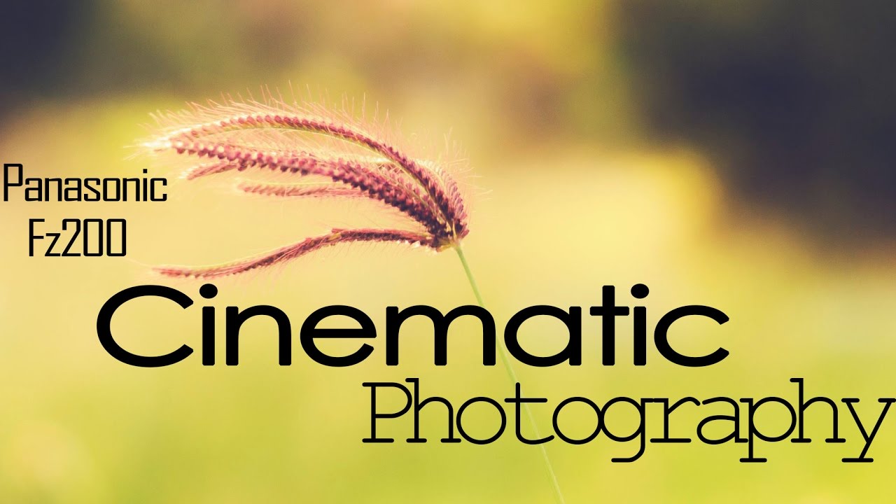Cinematic look in Photos Panasonic FZ200 sample photos.