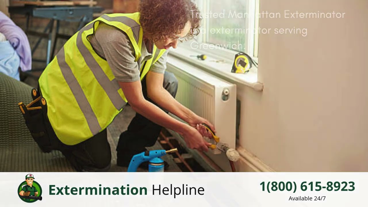 Top 3 Exterminators in Greenwich