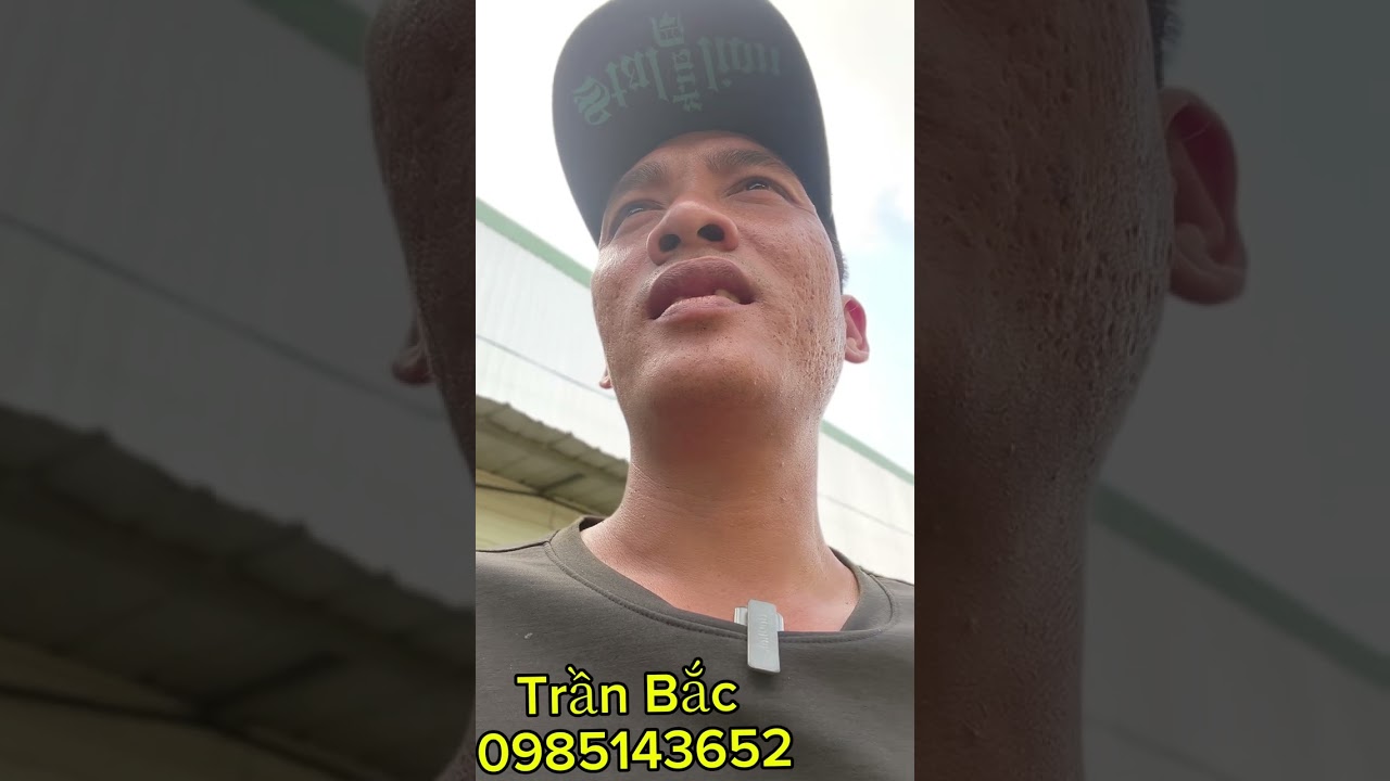 Giảm giá đầu năm cực sâu cho e trải nghiệm... Chim từ 3 tháng đến SS ...