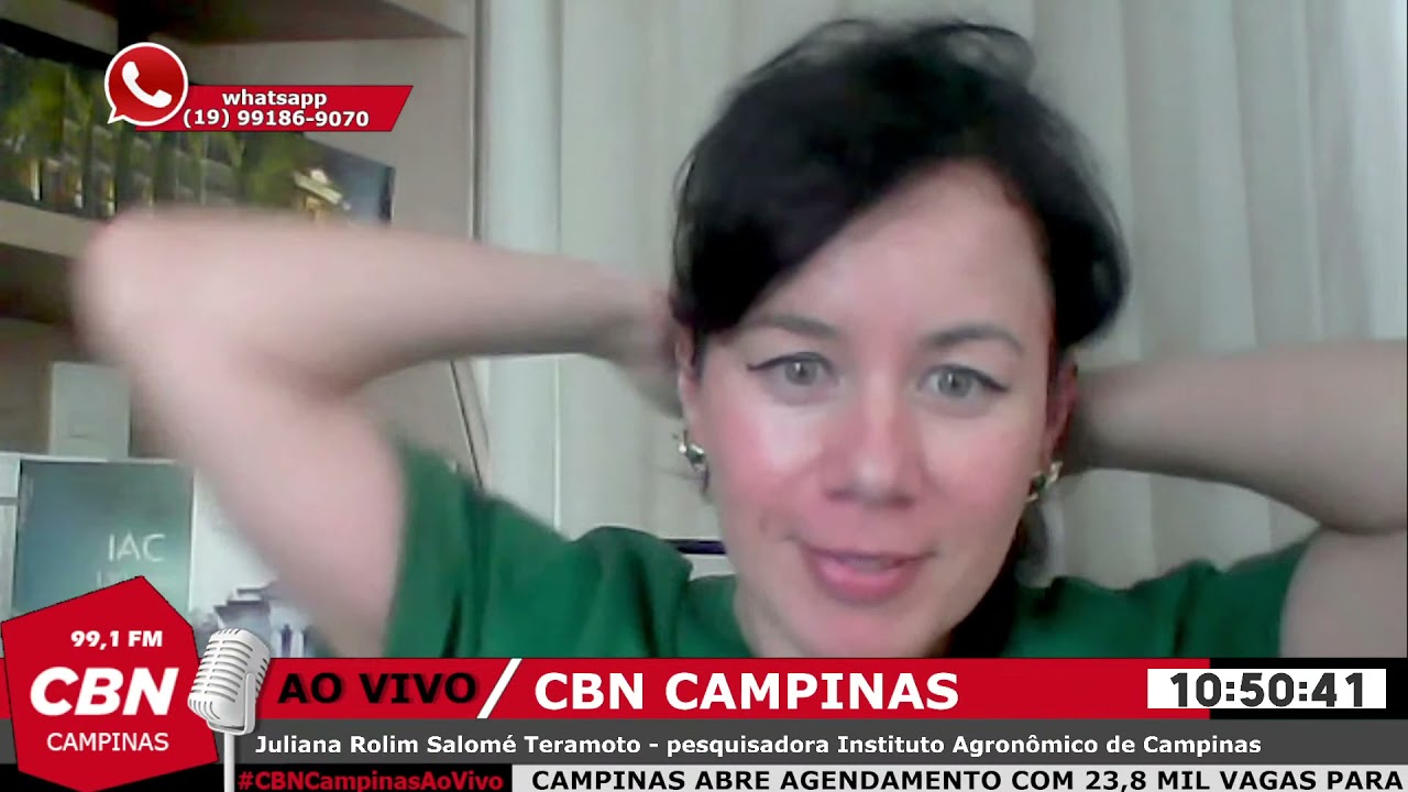 Pesquisa analisa os benefícios da farinha da mandioca | CBN Campinas