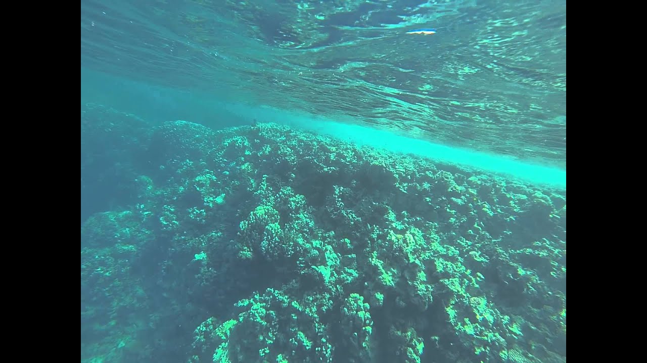AURORA BAY MARSA ALAM SNORKELING 001