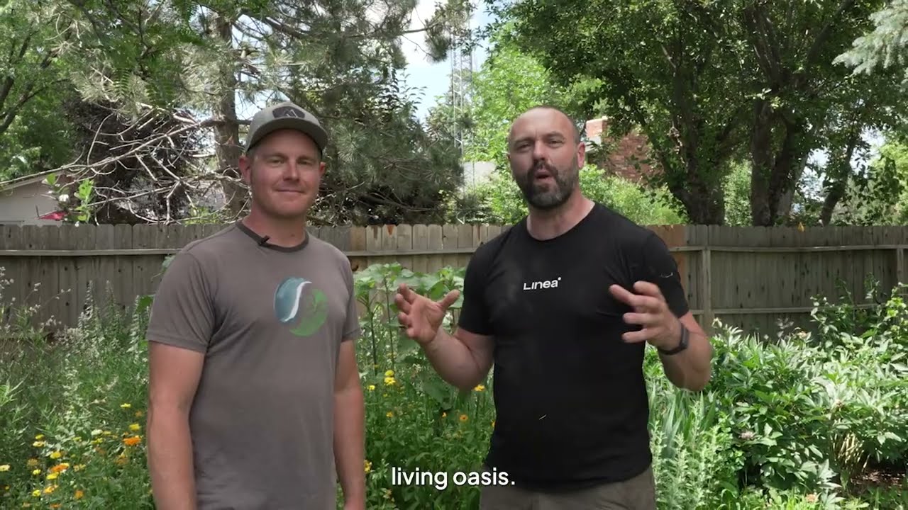 Hillcrest Homestead | Verge Spotlight