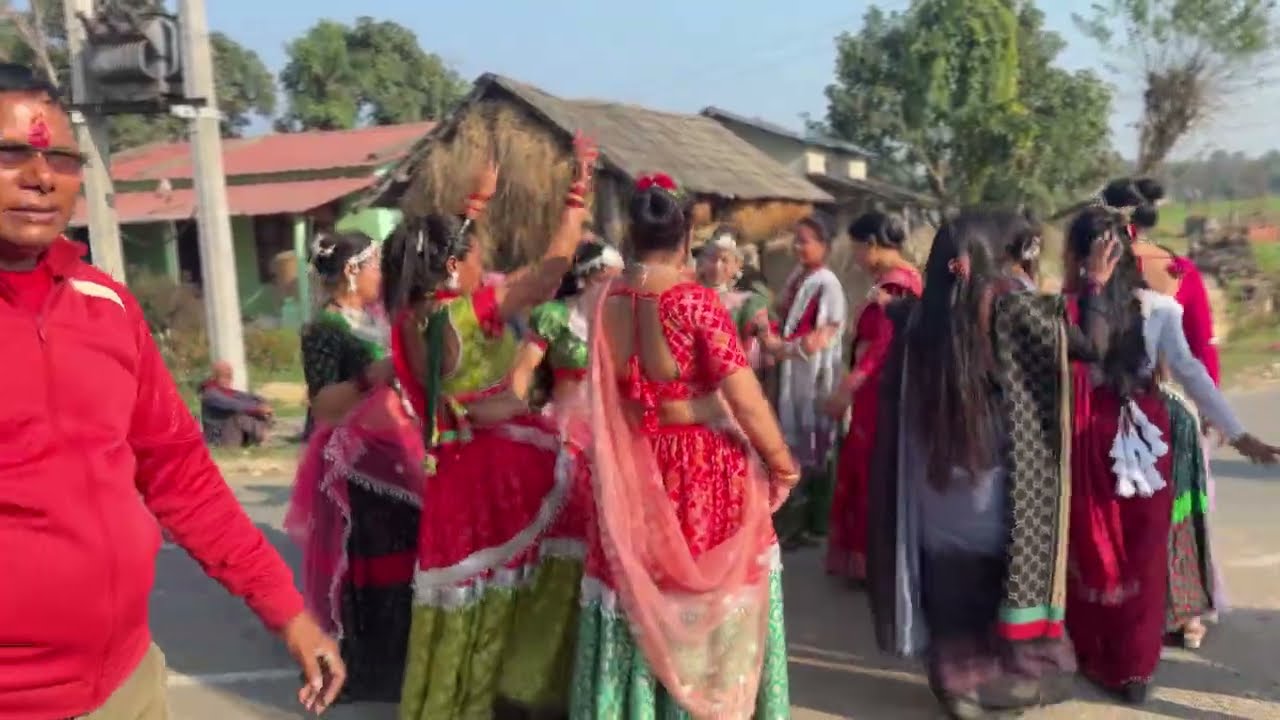 Tharu Wedding Band Baja Dance with Banke Tharu Community, Kohalpur-12, Banke | Ep -2