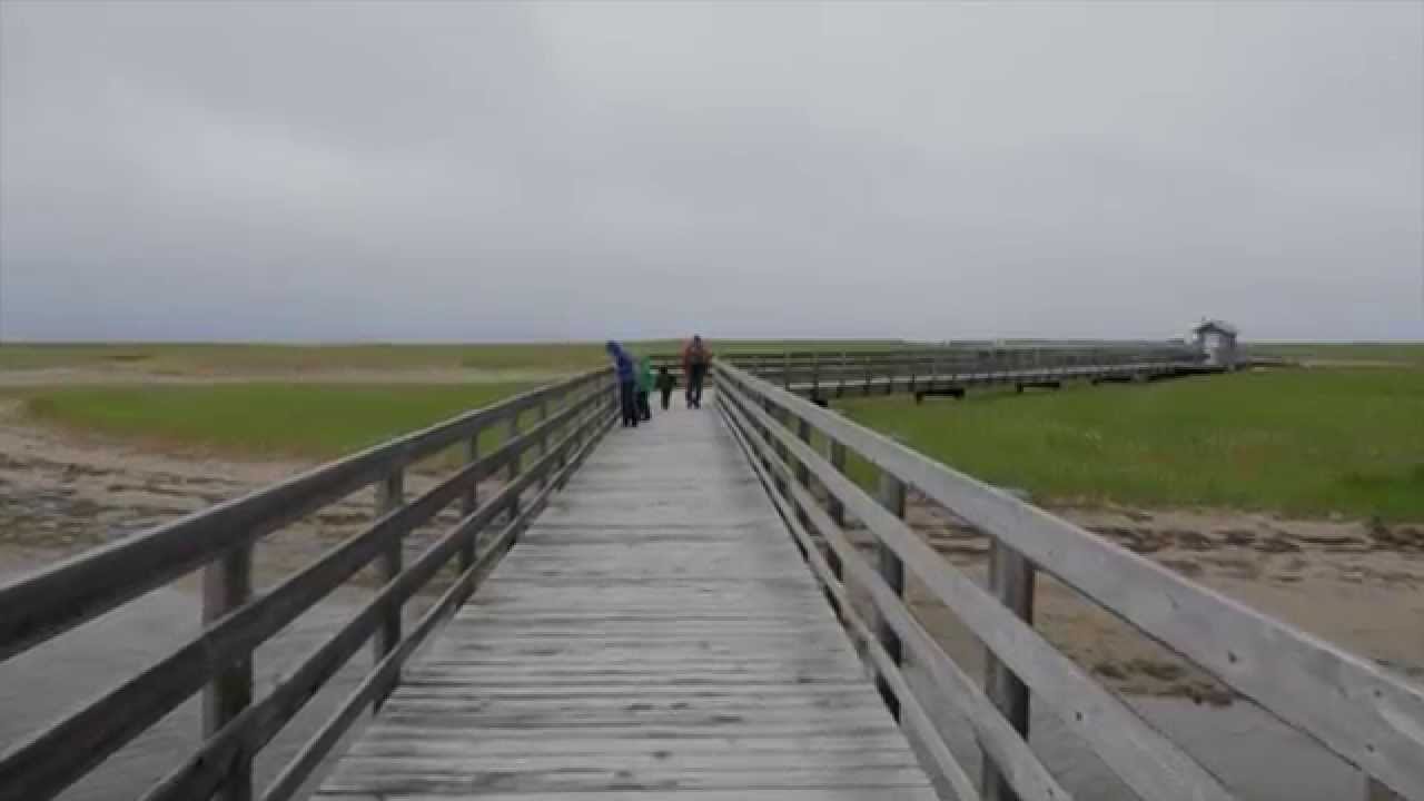 Kouchibouguac National Park - 4K - CBC New Brunswick