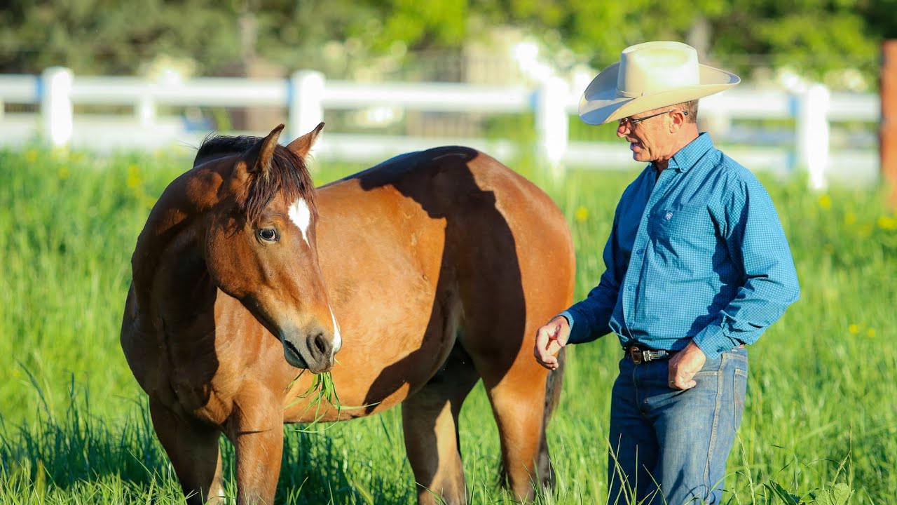 Creating Connection With a Yearling