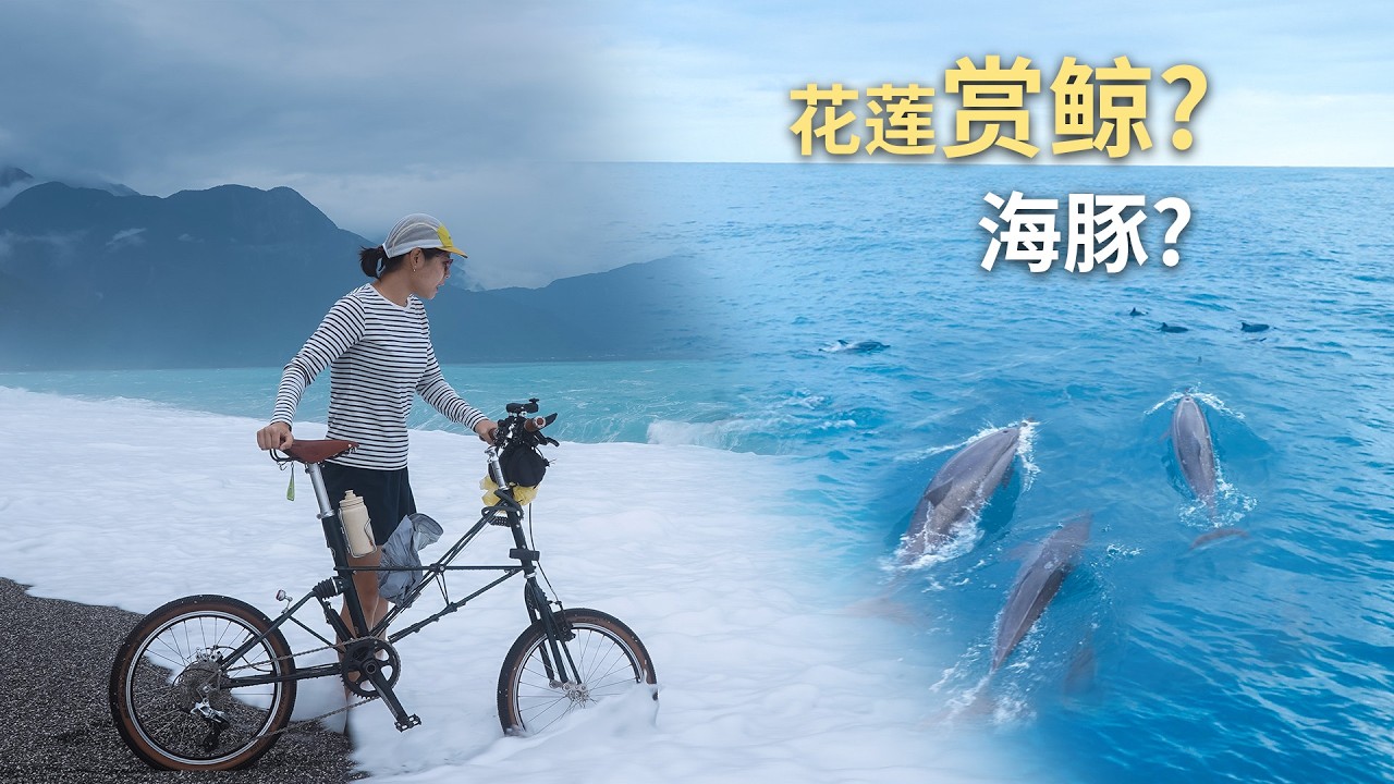 Ep.12 花莲追海豚的一天｜骑行七星潭, 吃海鲜的海边日常