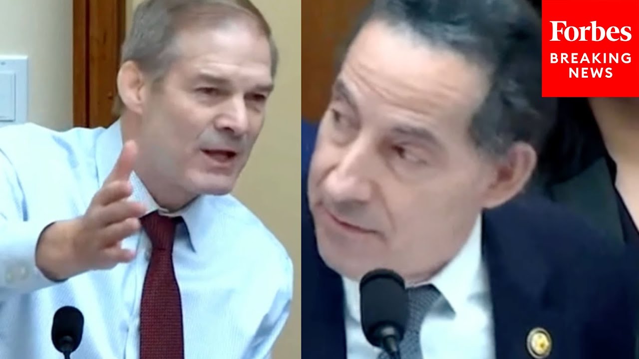 '77 Million Americans Don't Believe What They Heard From Mr. Raskin & The Democrat Witness': Jordan