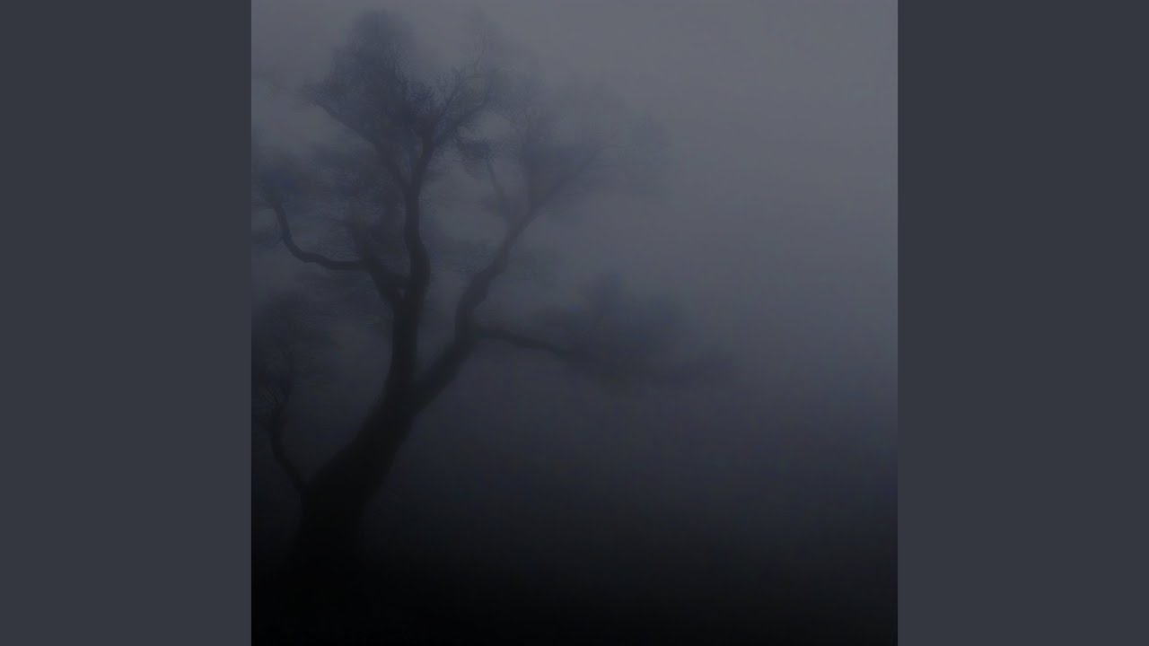 Lost in the Mist