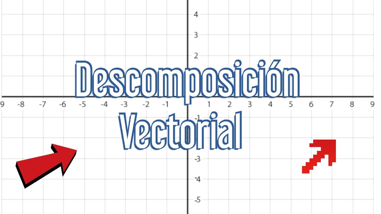 Descomposici&oacute;n de vectores y operaciones vectoriales