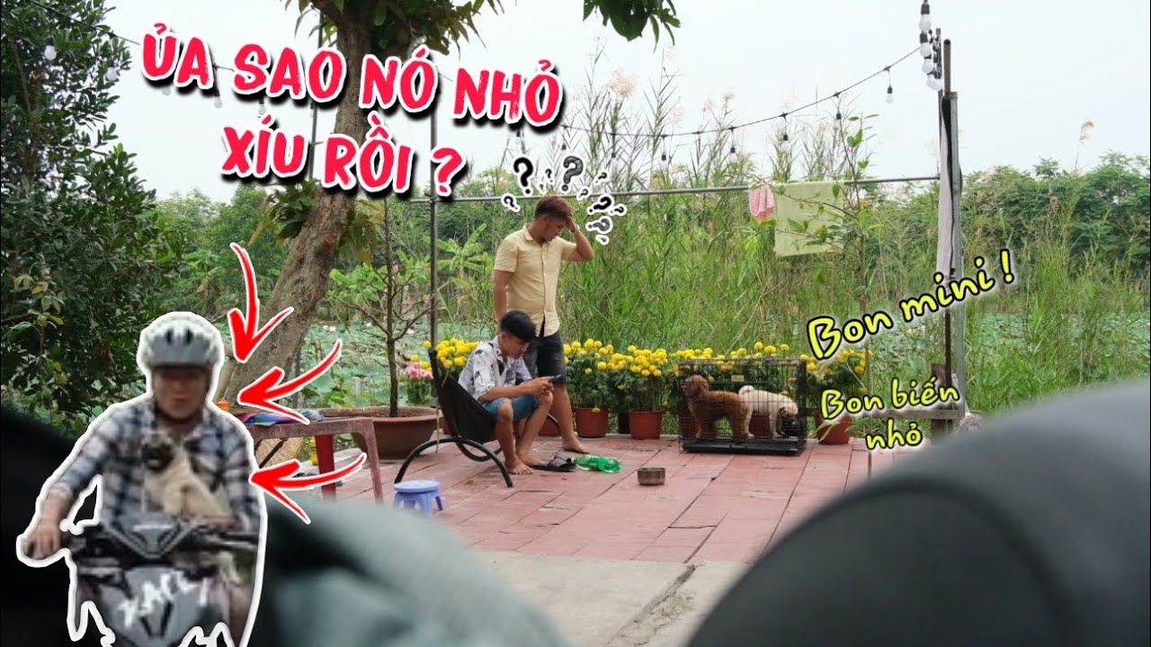 TNB - Nhã Ngáo Ngơ Vì Chớp Mắt Một Cái Đã Xảy Ra Chuyện Không Thể Tin Được
