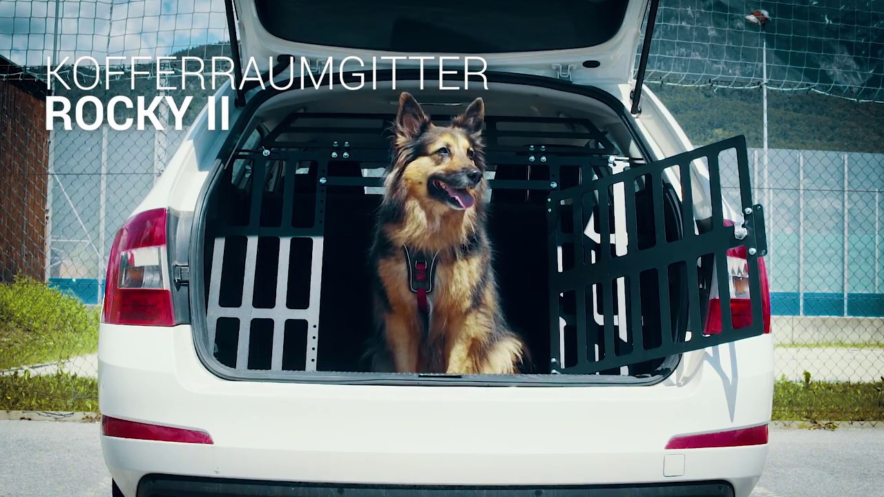 ROCKY II Kofferraumgitter - Dog in the Box