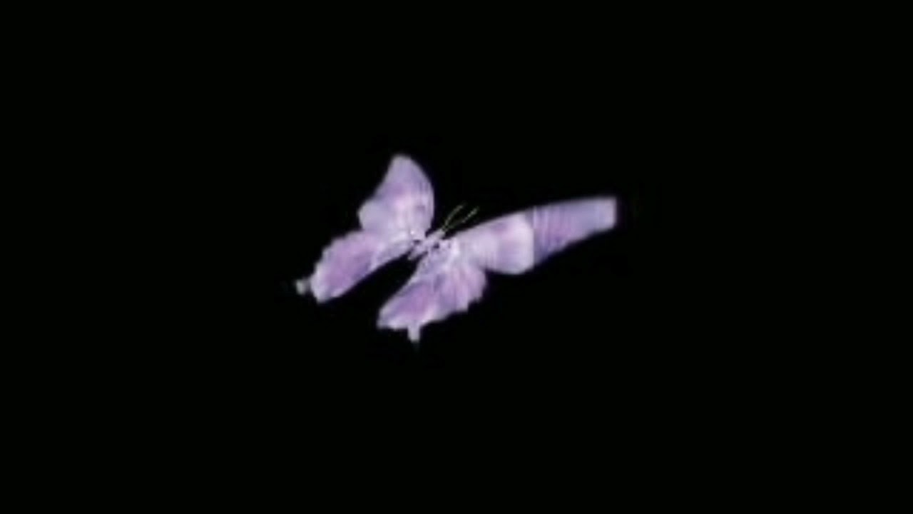 2Scratch - Butterflies (Slowed Version)