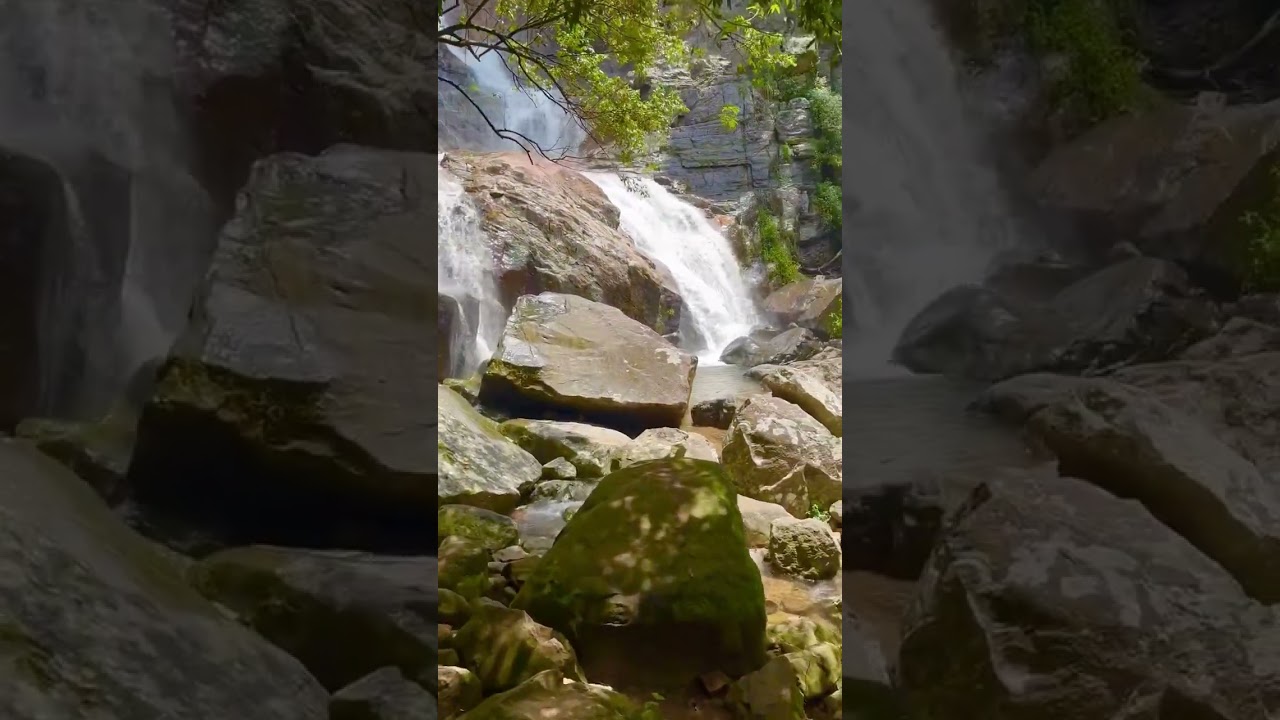 💧🌳#LoveNature   #WaterfallMagic  #NatureVibes  #WaterfallBeauty #viralshort #trending