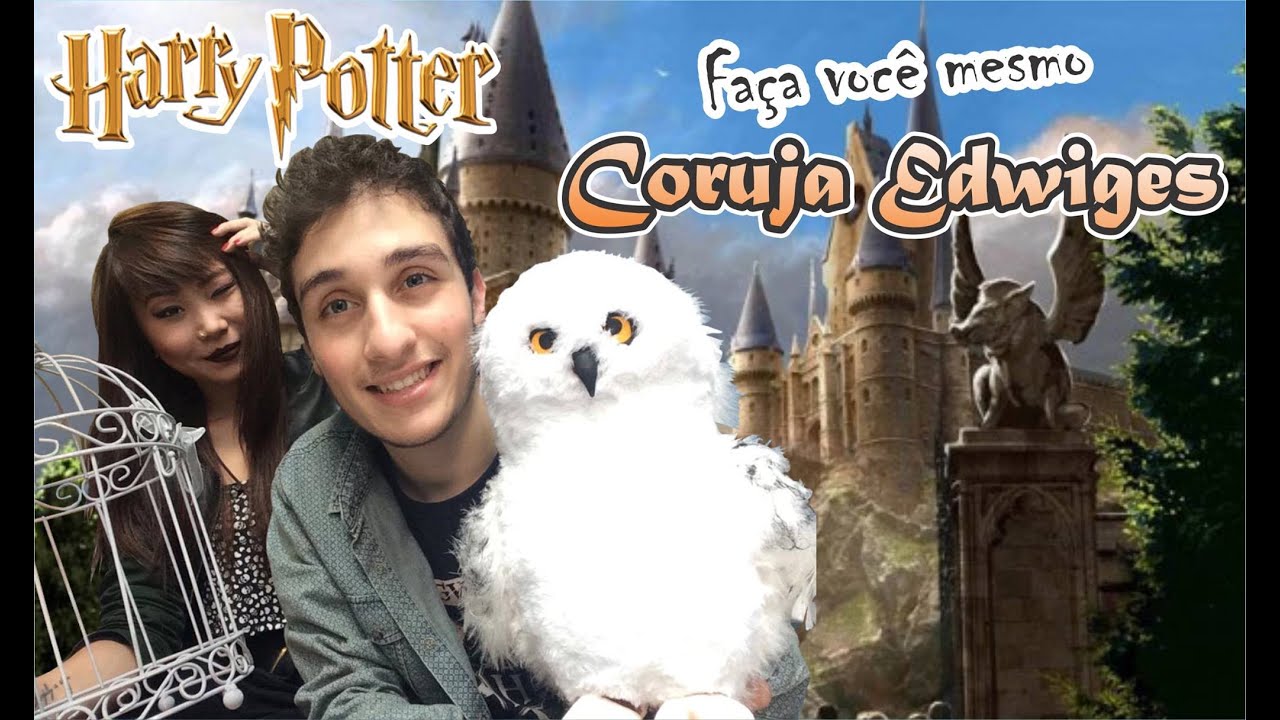 DIY; Faça você mesmo coruja Edwiges! Harry Potter!